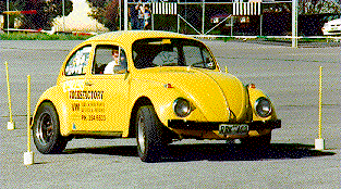 Beetle