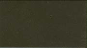 Olive.jpg