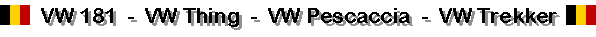 Subtitle