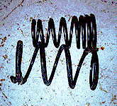 Rear PGT springs.  Eibach and Stock.