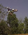 Emig getting up in the tree tops
