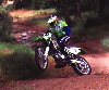 KLX in the woods