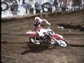 steve lamson