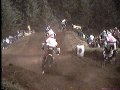roost