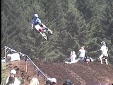 whip it
