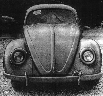 1946 beetle