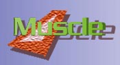 Muscle
