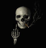 skull.gif (25658 bytes)