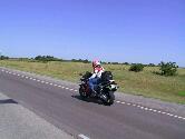 Th_todd4.jpg (3527 bytes)