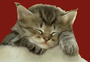 juste zen !