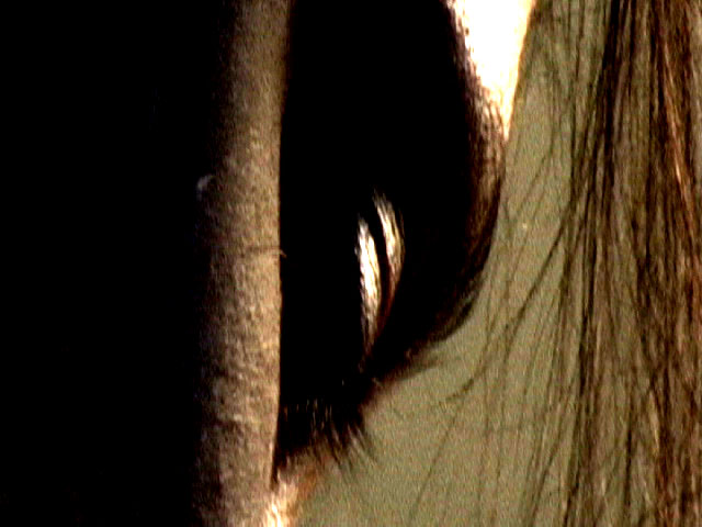 guess who?