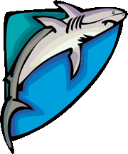 shark