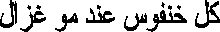 ani5