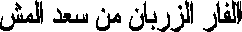 ani16