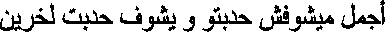 ani21