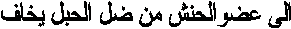 ani23