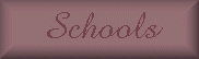 {SCHOOLS}