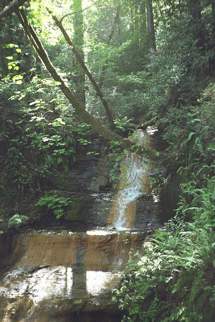 Golden Falls Cascade, Big Basin State Park, CA