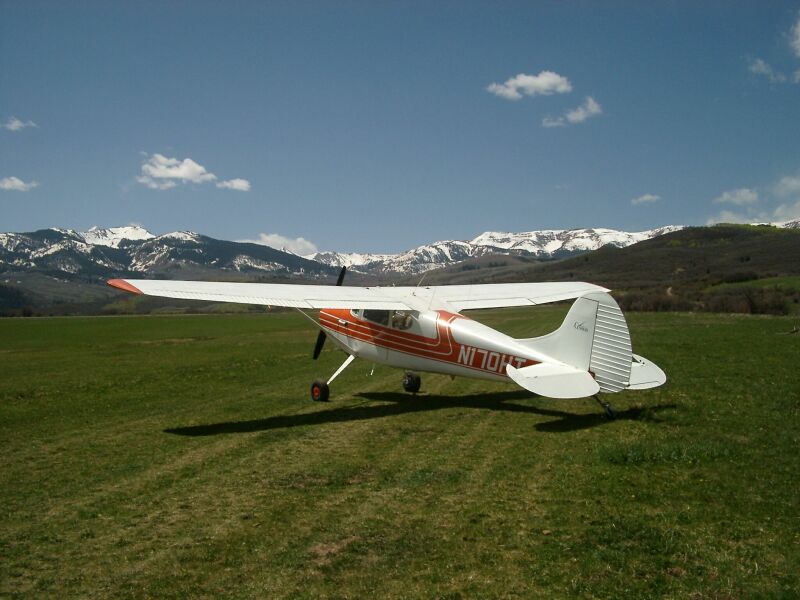 Our bird, "Punkin", somewhere in the hills near Aspen, CO...