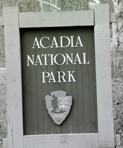 Welcome to Acadia !