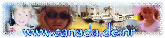banner2