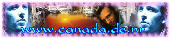 banner3
