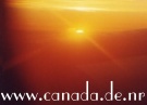 banner5