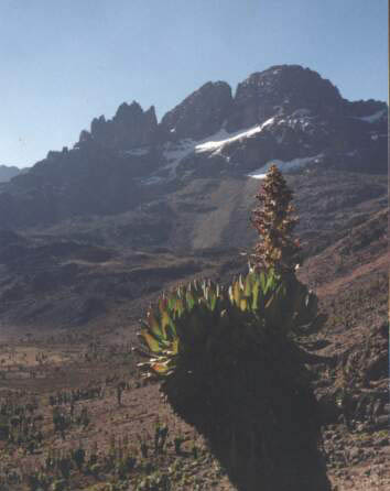 MtKenya