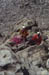 Climbing