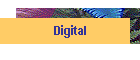 Digital