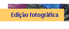 Edi��o fotogr�fica