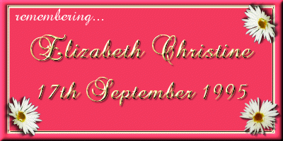 ~~~Jennifer's Elizabeth~~~