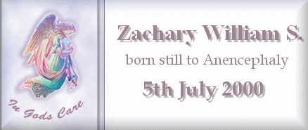 ~~~Dawn's Zachary~~~