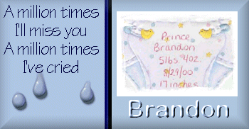 ~~~Kristy's Brandon~~~
