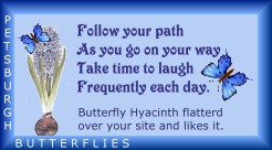 Petsburgh Butterflies
