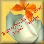 Petsburgh Butterflies
