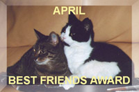 Please visit the stunning site of the Dutchcats!
