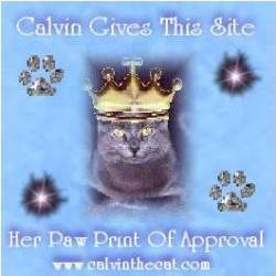 Visit Calvin the Cat and Hobbes the Kitten :)