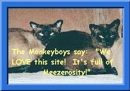 Please visit the Monkeyboys!