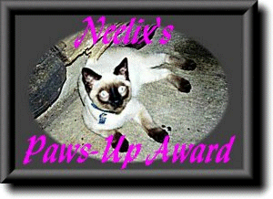 Neelix's Paws-Up Award