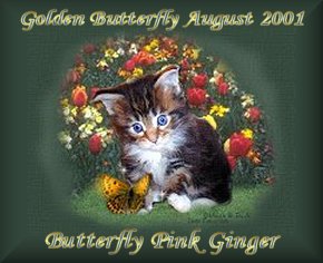 pinkginger_august.jpg (19727 bytes)