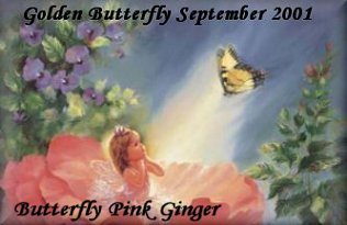 pinkginger_sept01.jpg (17004 bytes)