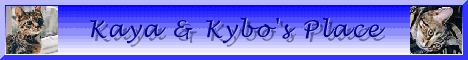Please visit Kaya & Kybo's Place