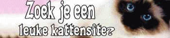 Cats 'r Us, the Netherlands