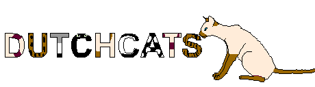 Dutchcats, the Netherlands