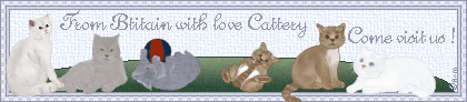 Cattery From Britain with Love, France