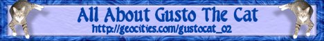Visit Gusto the Cat :)