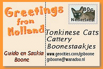 Cattery Boonestaakjes, the Netherlands