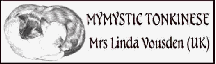 MyMistic Tonkinese