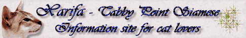 Please visit this gorgeous meezer site :)